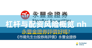 杠杆与配资风险概览 nh