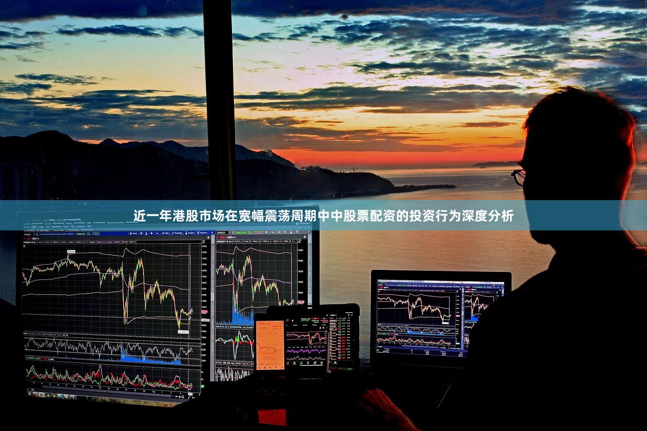 近一年港股市场在宽幅震荡周期中中股票配资的投资行为深度分析